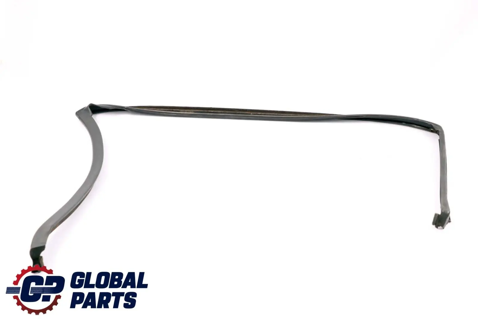 BMW X6 E71 Guarnizione Porta Giunto Posteriore Destro 7310322