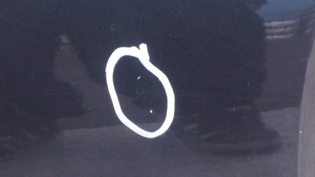 Clubdoor Club Door Right O/S Astro Black to Mini Clubman R55 Rear with Part number 7312189 Mini Clubman R55 Rear Clubdoor Club Door Right O/S Astro Black - SKU 7312189-ASB - Part number 7312189