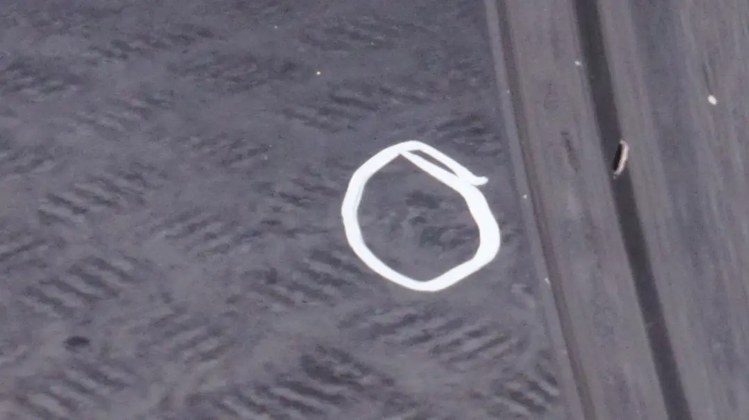 Puerta Trasera Derecha Astro Negro para Mini Clubman R55 con número de pieza 7312189 Mini Clubman R55 Puerta Trasera Derecha Astro Negro - SKU 7312189-ASB - Número de pieza 7312189