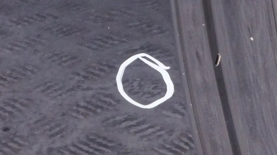 Drzwi Prawe Boczne Astro Black do MINI R55 Clubman o numerze 7312189 MINI R55 Clubman Drzwi Prawe Boczne Astro Black - SKU 7312189-ASB - Numer Części 7312189