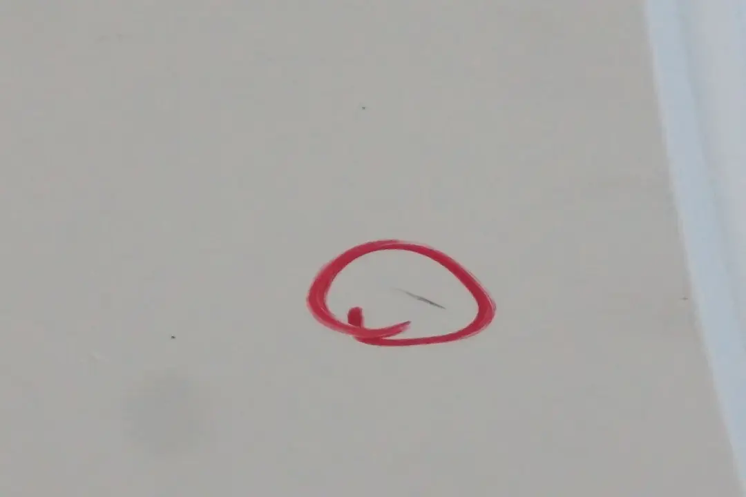 Clubdoor Porta Posteriore Destra Pepe Bianco per Mini Clubman R55 con numero di parte 7312189 Mini Clubman R55 Clubdoor Porta Posteriore Destra Pepe Bianco - SKU 7312189-PW1 - Numero di parte 7312189