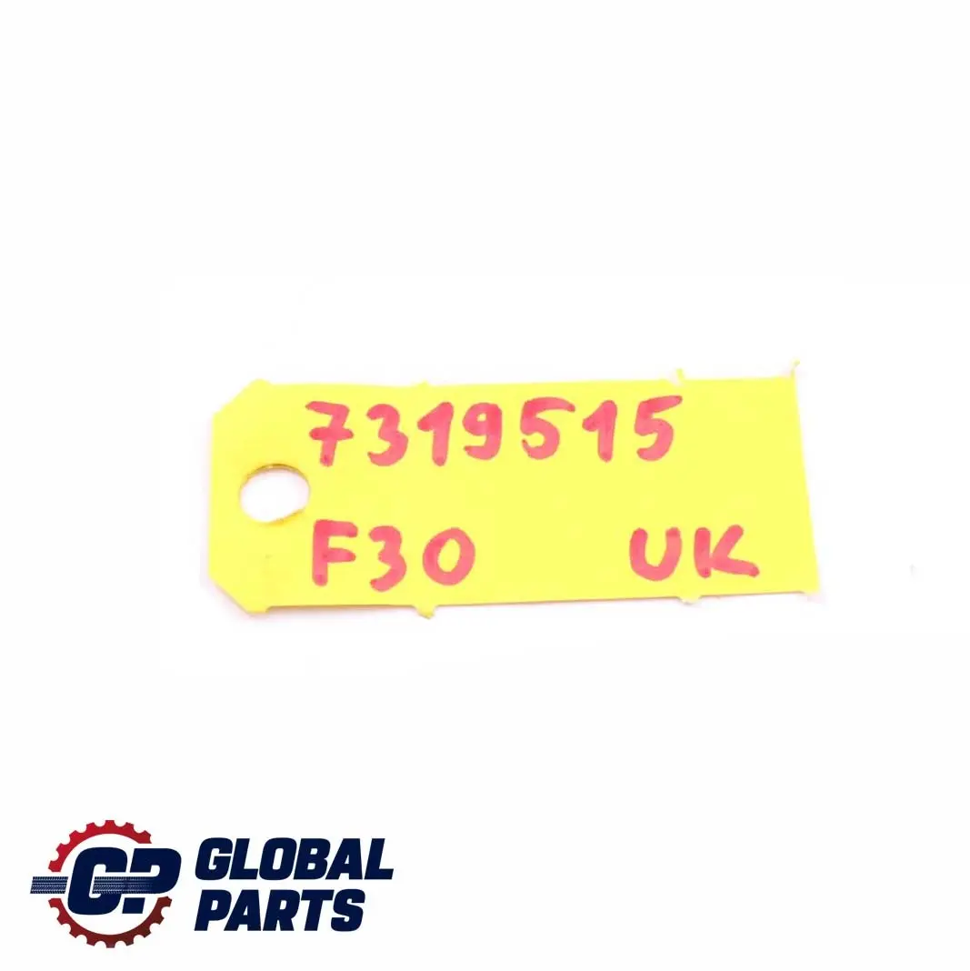 BMW 3 Series F30 F31 Rear Seat Middle Headrest Leather Oyster - SKU 7319515 - Part number 7319515