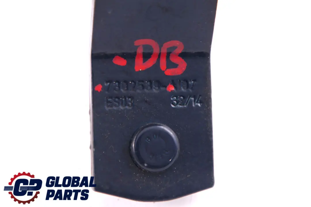 Cardine Portellone SX Profondo Blu Metallizzato per Mini Cooper One F55 F56 con numero di parte 7320547 Mini Cooper One F55 F56 Cardine Portellone SX Profondo Blu Metallizzato - SKU 7320547-DB - Numero di parte 7320547