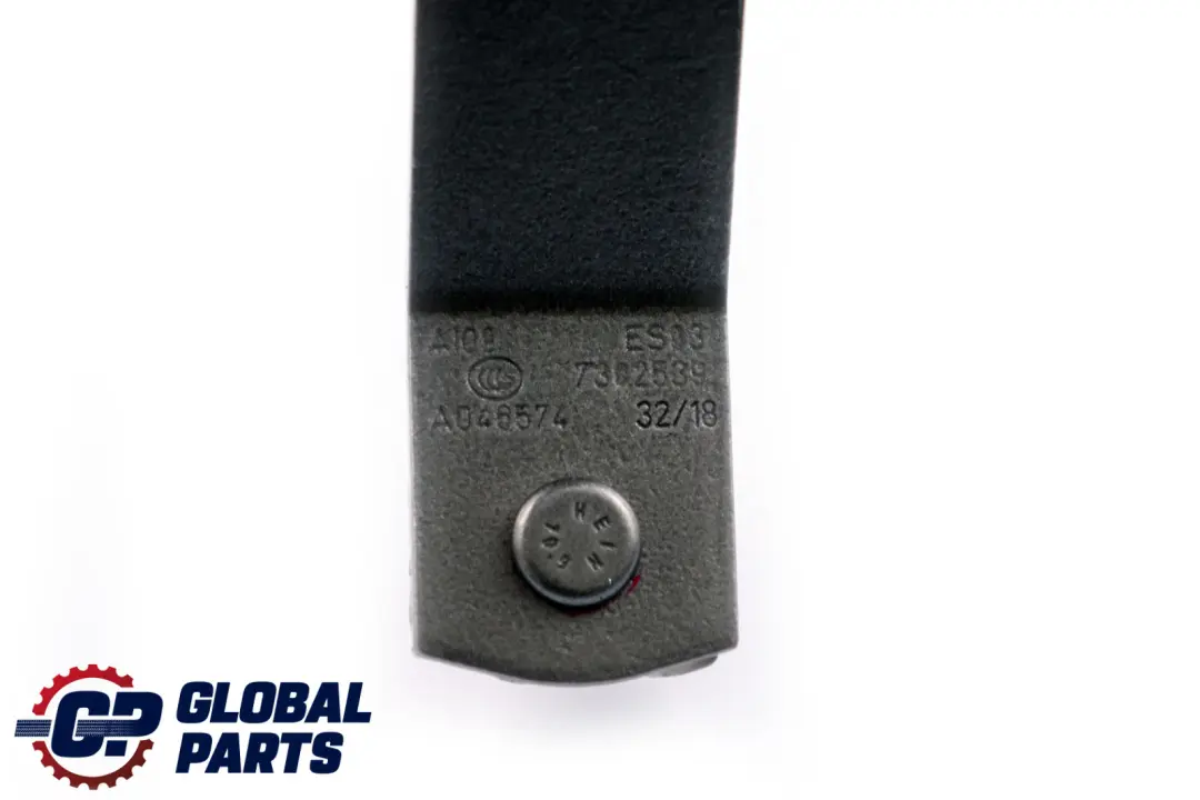 Maletero Tapa Bisagra Trasera Izquierda Plata Fundente C2K 7302539 para Mini F55 F56 con número de pieza 7320547 Mini F55 F56 Maletero Tapa Bisagra Trasera Izquierda Plata Fundente C2K 7302539 - SKU 7320547-MELT - Número de pieza 7320547