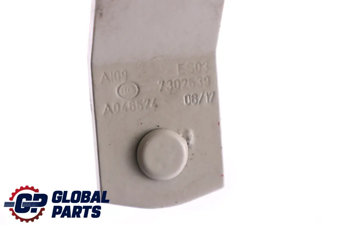 Boot Trunk Lid Hinge Left N/S Pepper White 7302539 to Mini Cooper F55 F56 with Part number 7320547 Mini Cooper F55 F56 Boot Trunk Lid Hinge Left N/S Pepper White 7302539 - SKU 7320547-PW - Part number 7320547