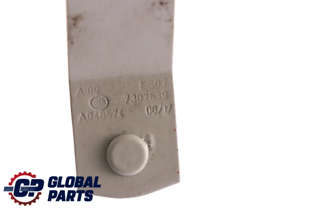 Cerniera Coperchio Bagagliaio Sinistra Pepper Bianco 7302539 per Mini Cooper F55 F56 con numero di parte 7320547 Mini Cooper F55 F56 Cerniera Coperchio Bagagliaio Sinistra Pepper Bianco 7302539 - SKU 7320547-PW - Numero di parte 7320547