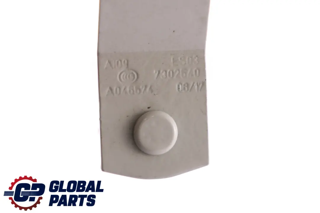 Boot Trunk Lid Hinge Right O/S Pepper White 7302540 to Mini Cooper F55 F56 with Part number 7320548 Mini Cooper F55 F56 Boot Trunk Lid Hinge Right O/S Pepper White 7302540 - SKU 7320548-PW - Part number 7320548