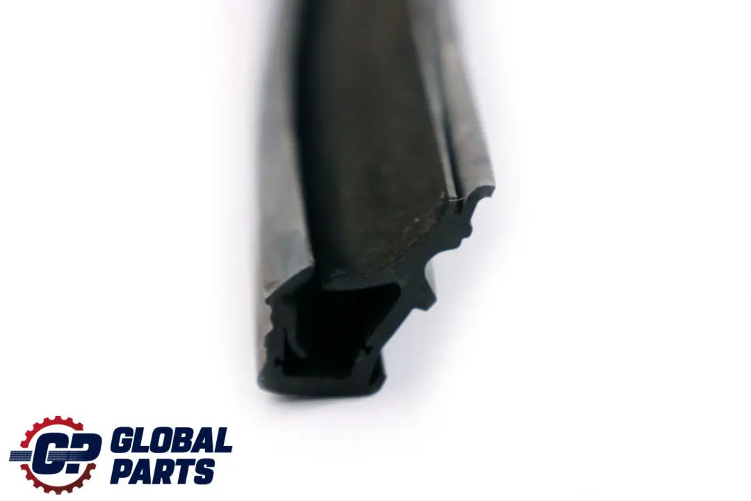 Guía de ventana Puerta trasera derecha para Mini Cooper One F55 con número de pieza 7322444 Mini Cooper One F55 Guía de ventana Puerta trasera derecha - SKU 7322444 - Número de pieza 7322444