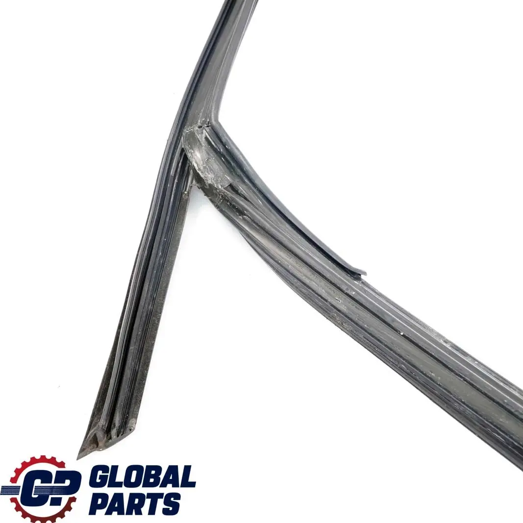 Porta Anteriore Destra Binario Finestra Guarnizione per Mini Cooper One F55 con numero di parte 7322516 Mini Cooper One F55 Porta Anteriore Destra Binario Finestra Guarnizione - SKU 7322516 - Numero di parte 7322516