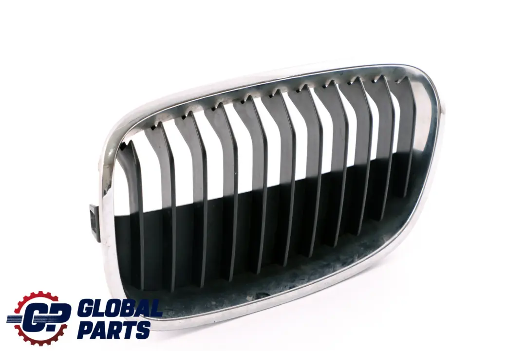 Front Cover Trim Left Chrome Frame Grille N/S BMW 1 Series F20 F21 - SKU 7324389 - Part number 7324389