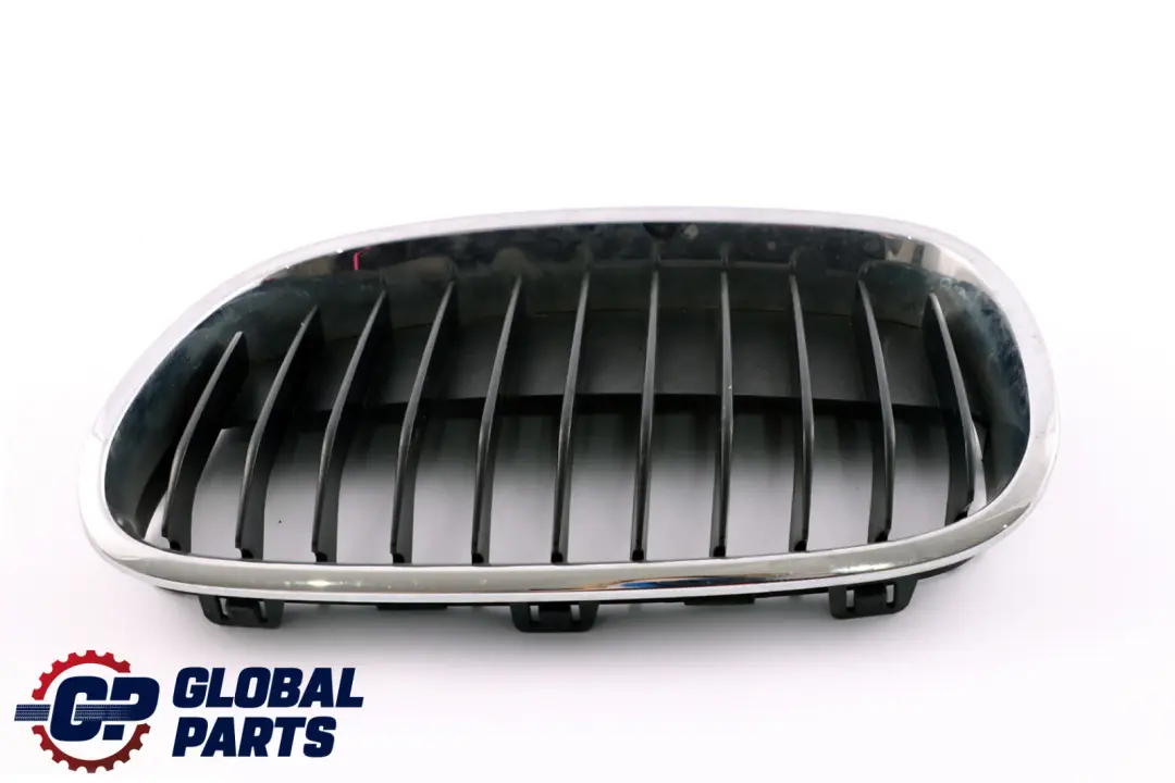 Front Cover Trim Left Chrome Frame Grille N/S BMW 1 Series F20 F21 - SKU 7324389 - Part number 7324389