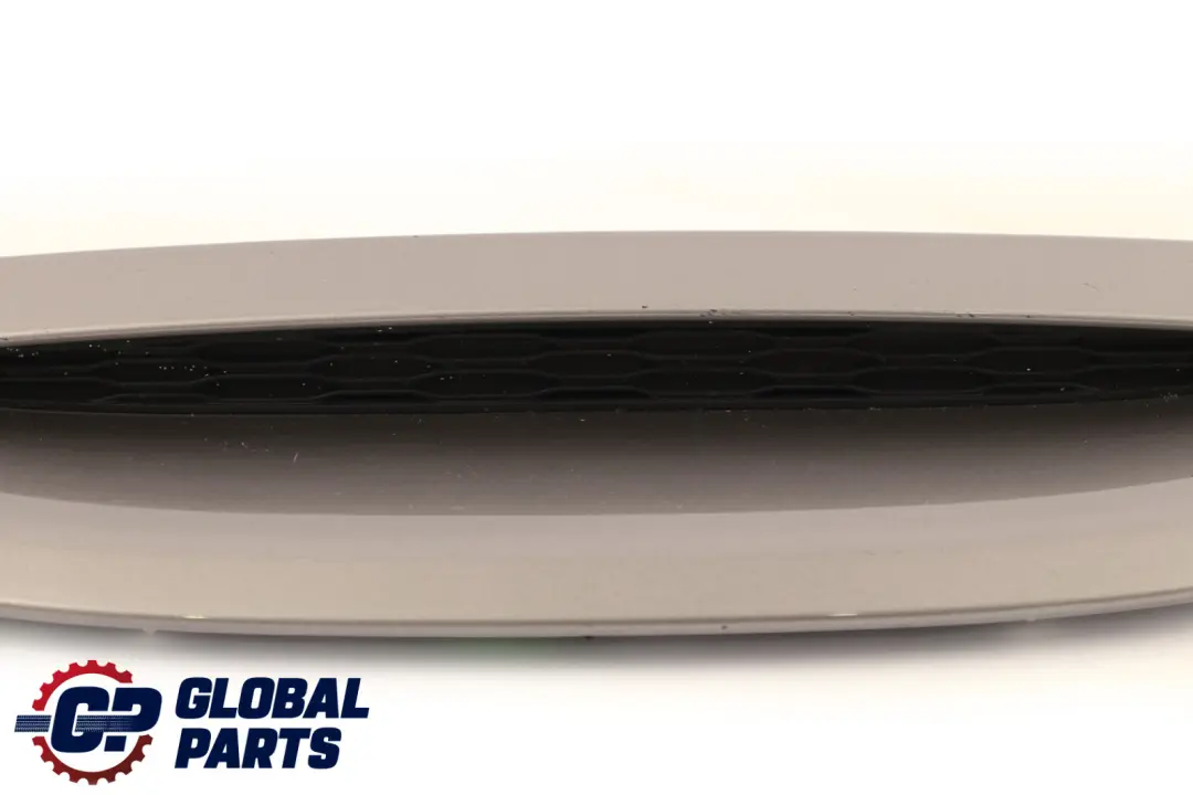 Inlet Cover Grille Bonnet Hood Melting Silver C2K to BMW Mini Cooper F55 F56 S Air with Part number 7328312 BMW Mini Cooper F55 F56 S Air Inlet Cover Grille Bonnet Hood Melting Silver C2K - SKU 7328312-MELT - Part number 7328312