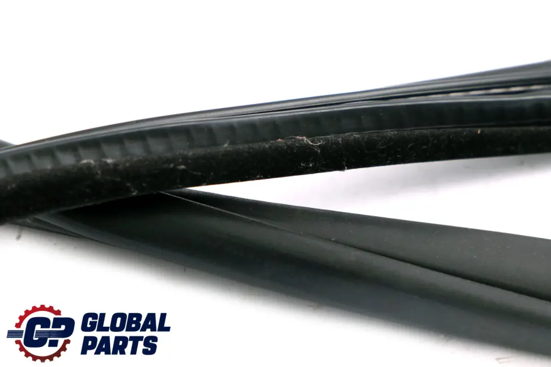 BMW X5 E70 Paraspigoli Porta Anteriore Nero - SKU 7333813 - Numero di parte 7333813
