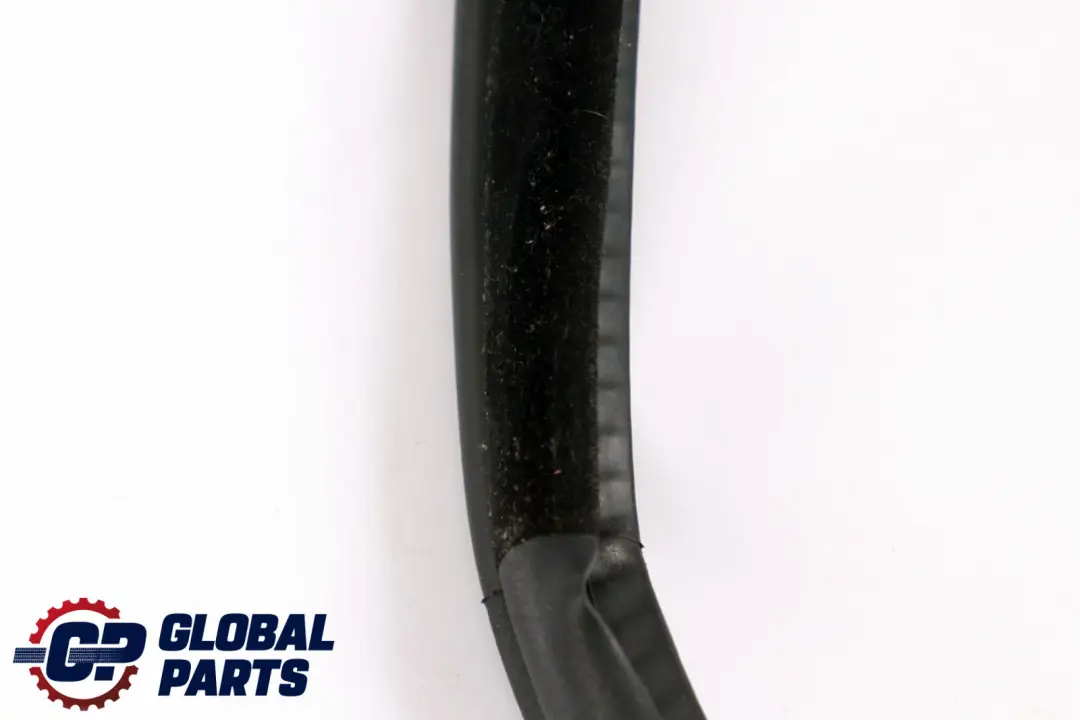 Sello Proteccion Borde Puerta Trasera Izquierda Derecha N/ para BMW E70 con número de pieza 7333814 BMW E70 Sello Proteccion Borde Puerta Trasera Izquierda Derecha N/ - SKU 7333814 - Número de pieza 7333814