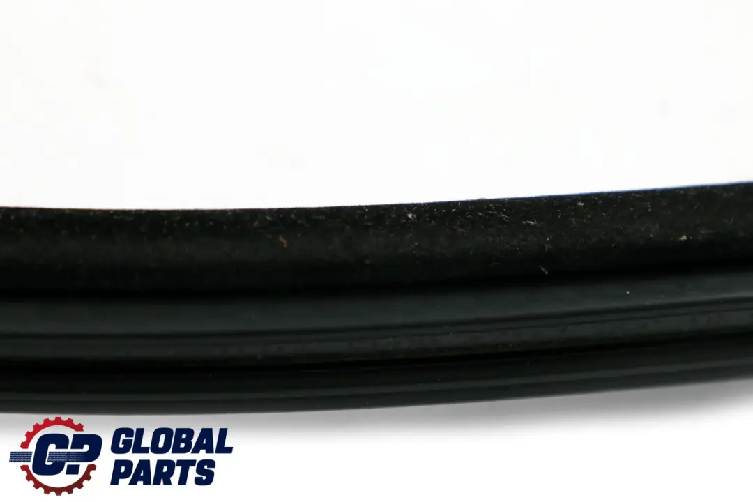 BMW E70 Sello Proteccion Borde Puerta Trasera Izquierda Derecha N/ - SKU 7333814 - Número de pieza 7333814