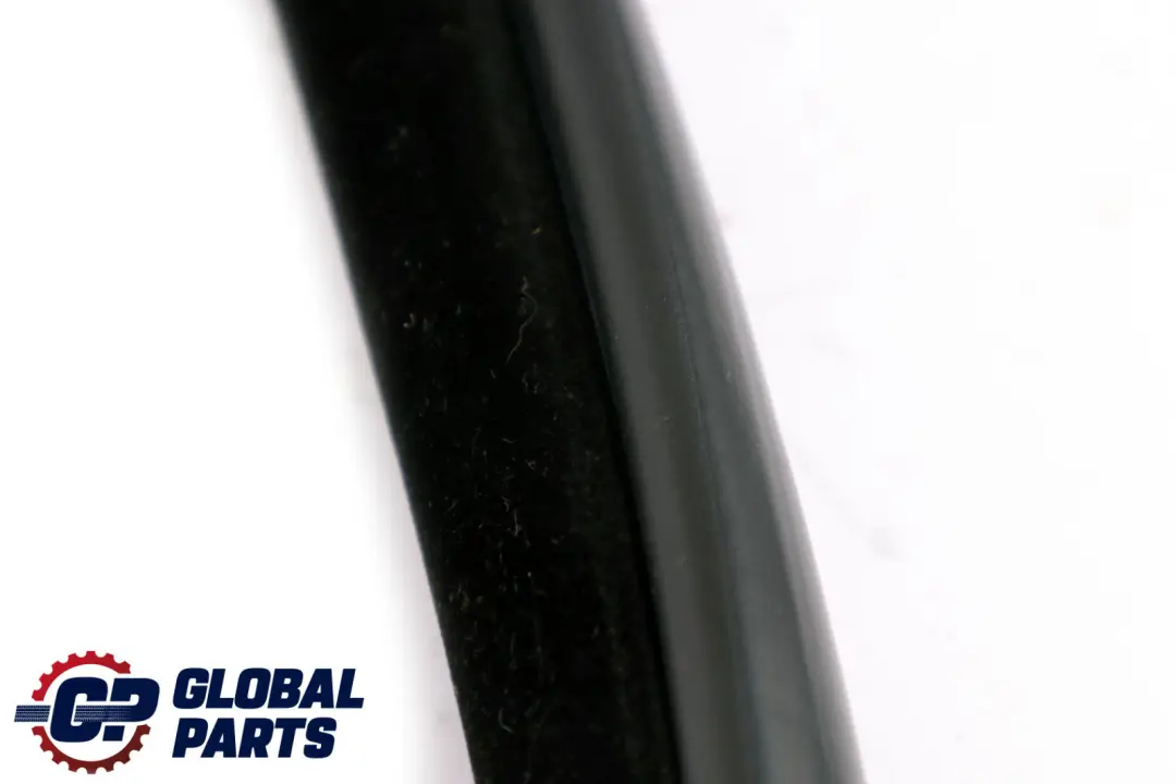 BMW X5 E70 Paraspigoli Porta Posteriore Sinistra Destra - SKU 7333814 - Numero di parte 7333814