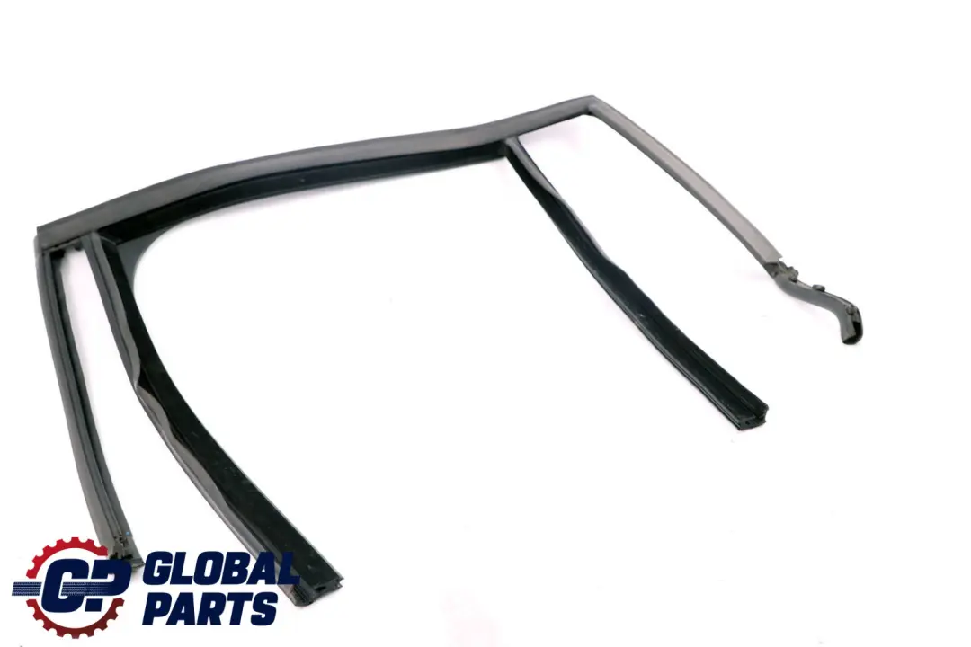 BMW X1 Series F48 Window Guide Seal Gasket Left N/S Rear Door - SKU 7349653 - Part number 7349653