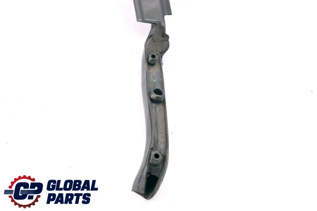 BMW X1 Series F48 Window Guide Seal Gasket Left N/S Rear Door - SKU 7349653 - Part number 7349653