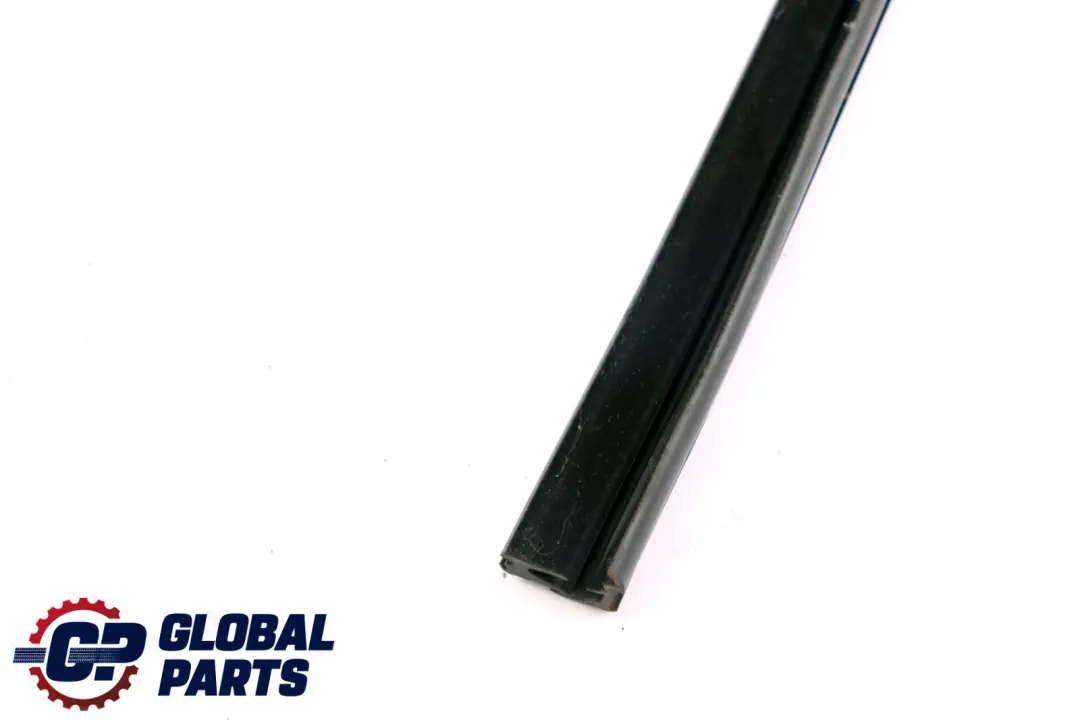 BMW X1 Series F48 Window Guide Seal Gasket Left N/S Rear Door - SKU 7349653 - Part number 7349653
