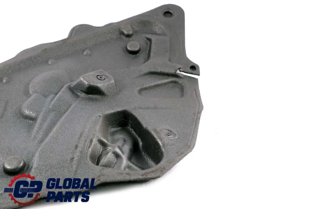 Schallisolierung Tür Hinten Rechts für BMW X6 er E71 mit Teilenummer 7179709 BMW X6 er E71 Schallisolierung Tür Hinten Rechts - SKU 7355623 - Teilenummer 7179709