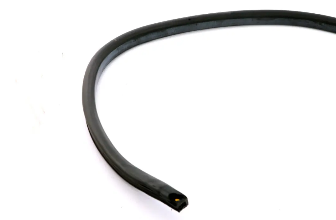 Sello puerta izquierda delantera para Mini Roadster R59 con número de pieza 7362067 Mini Roadster R59 Sello puerta izquierda delantera - SKU 7362067 - Número de pieza 7362067