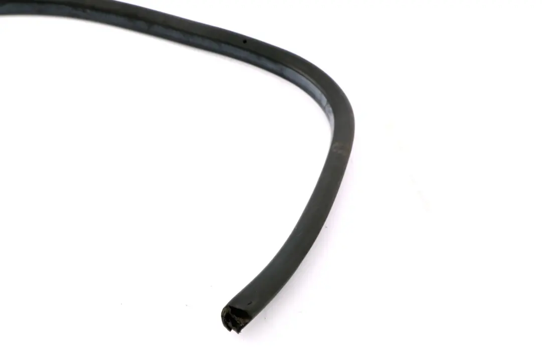 Sello puerta izquierda delantera para Mini Roadster R59 con número de pieza 7362067 Mini Roadster R59 Sello puerta izquierda delantera - SKU 7362067 - Número de pieza 7362067