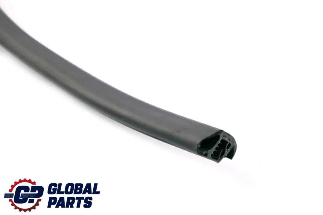 Mini Roadster R59 Door Gasket Weatherstrip Seal Front Right O/S - SKU 7362068 - Part number 7362068