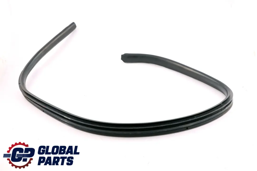 Mini Roadster R59 Door Gasket Weatherstrip Seal Front Right O/S - SKU 7362068 - Part number 7362068