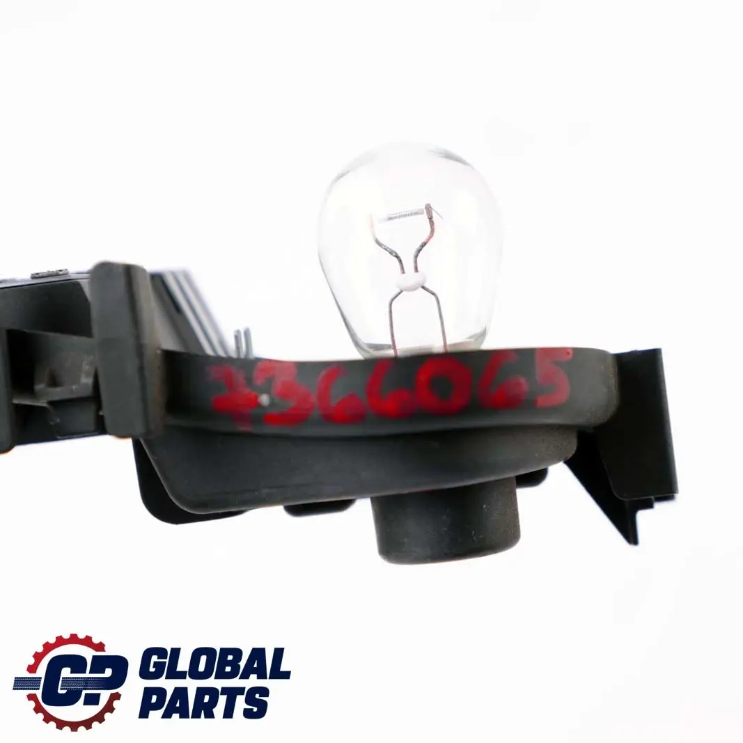 BMW F32 Soporte Bombilla Luz Panel Lateral Trasero Izquierdo - SKU 7366065 - Número de pieza 7366065