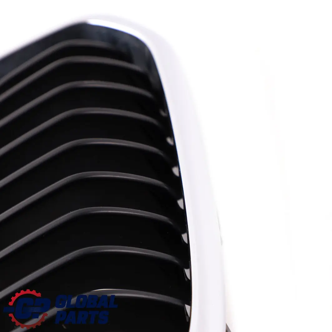 Paraurti anteriore Griglia centrale Rene destro per BMW F20 F21 LCI con numero di parte 7371748 BMW F20 F21 LCI Paraurti anteriore Griglia centrale Rene destro - SKU 7371748 - Numero di parte 7371748