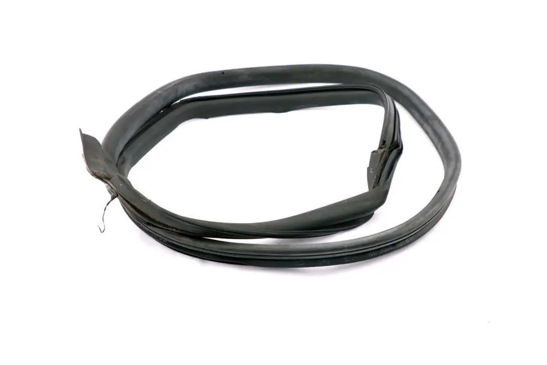 Mini Cooper R58 Coupe Striscia Paraspruzzi Porta Guarnizione Destra - SKU 7372776 - Numero di parte 7372776