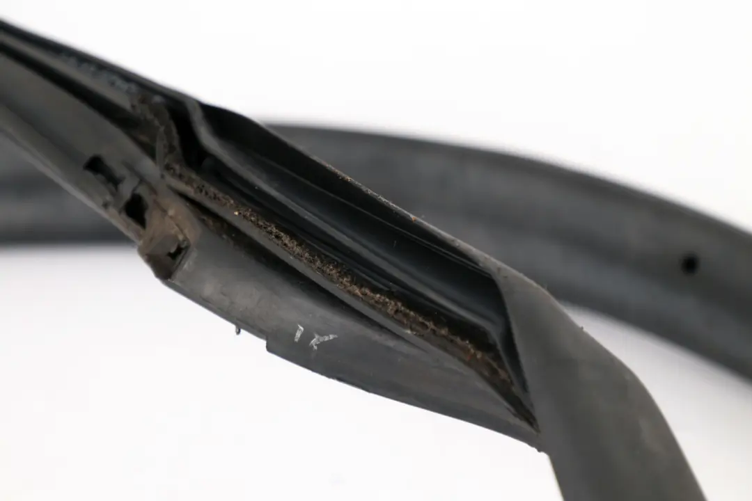 Striscia Paraspruzzi Porta Guarnizione Destra per Mini Cooper R58 Coupe con numero di parte 7372776 Mini Cooper R58 Coupe Striscia Paraspruzzi Porta Guarnizione Destra - SKU 7372776 - Numero di parte 7372776