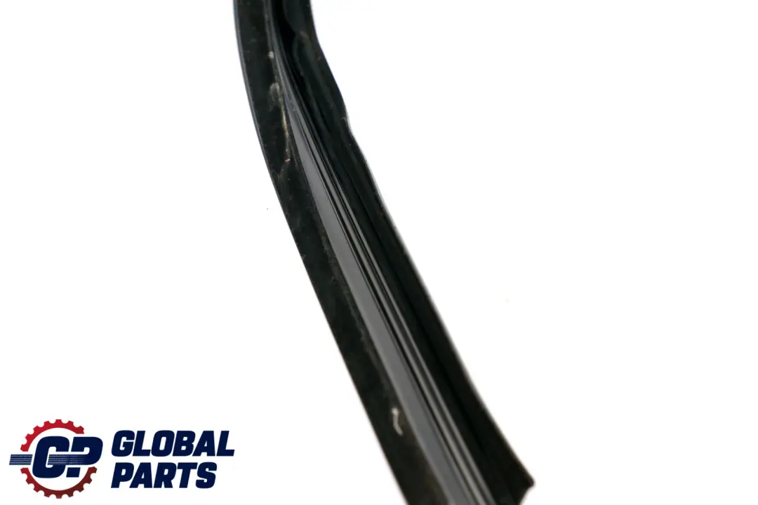 Guida Del Finestrino Anteriore Destro O/S Guarnizione per BMW F20 LCI con numero di parte 7376386 BMW F20 LCI Guida Del Finestrino Anteriore Destro O/S Guarnizione - SKU 7376386 - Numero di parte 7376386