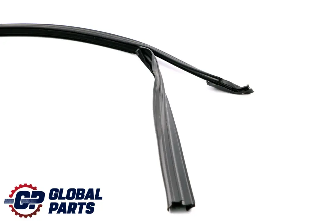 Door Window Guide Front Right O/S Seal to BMW F20 LCI with Part number 7376386 BMW F20 LCI Door Window Guide Front Right O/S Seal - SKU 7376386 - Part number 7376386
