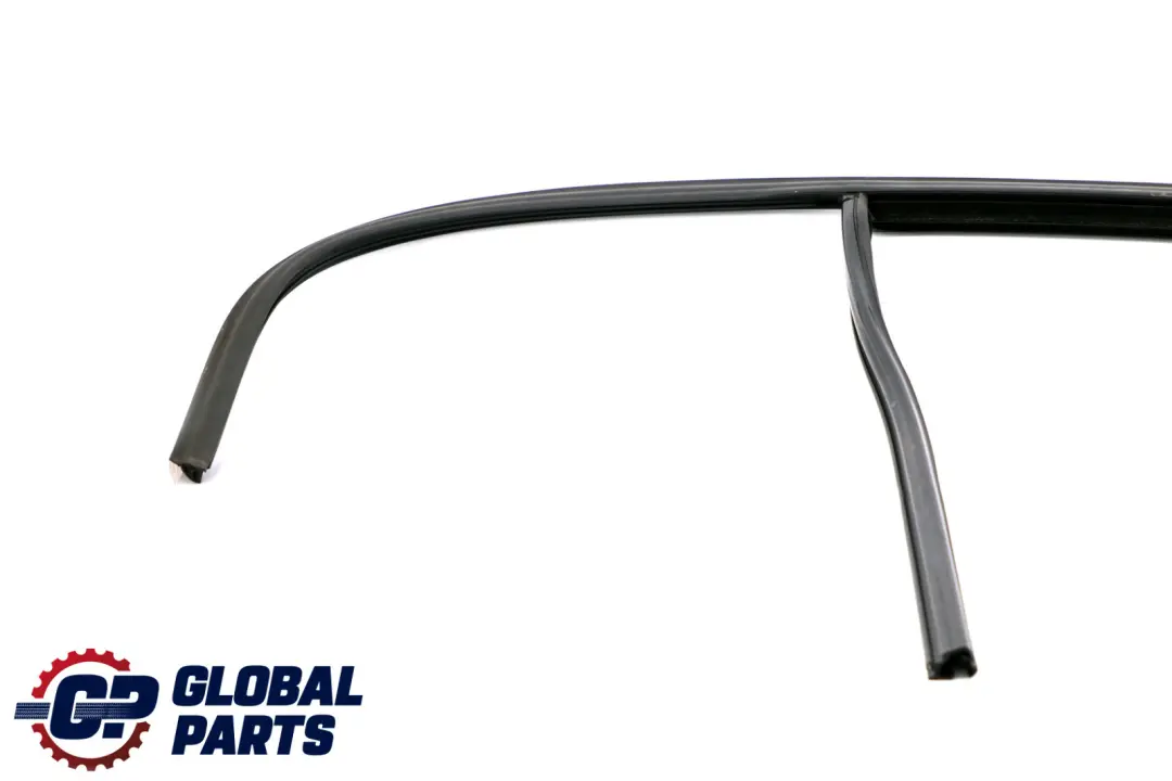 BMW 1 er F20 LCI Fensterführung Tür Hinten Rechts 5133 - SKU 7376388 - Teilenummer 7376388