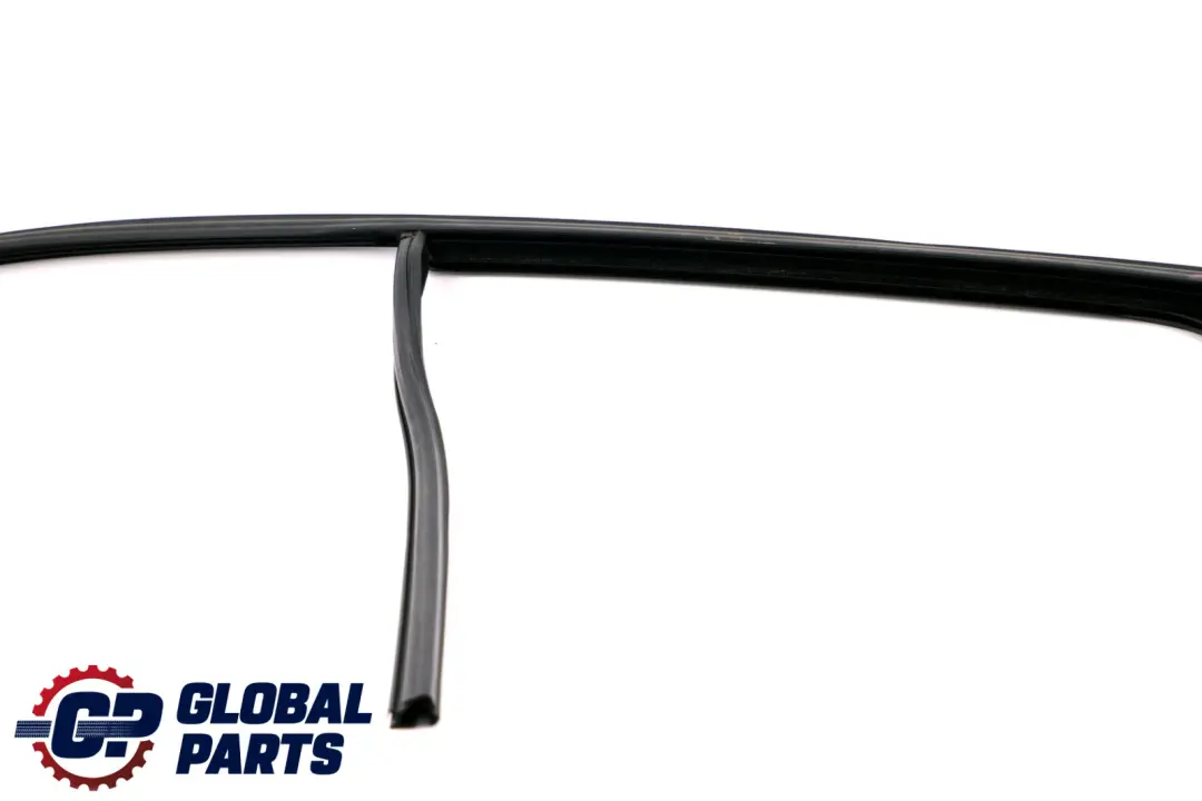 BMW F20 LCI Guida Del Finestrino Posteriore Destro Guarnizione - SKU 7376388 - Numero di parte 7376388