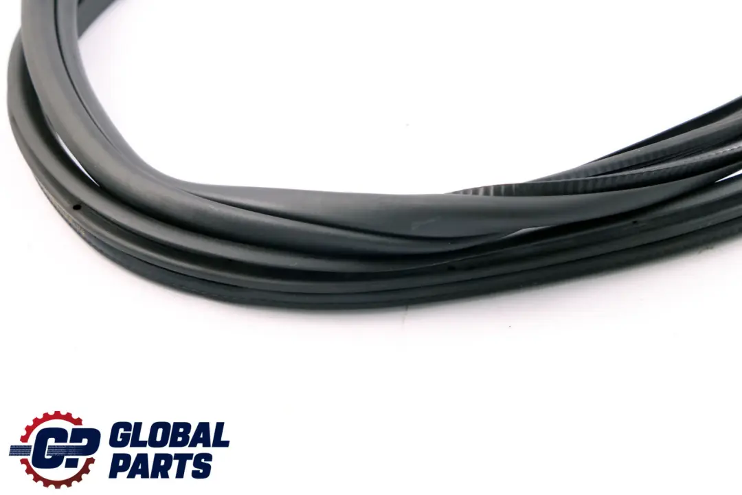 BMW F31 Touring guarnizione porta posteriore sinistra - SKU 7377415 - Numero di parte 7377415