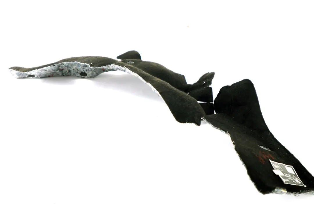 Isolamento Acustico Passaruota Portabagagli Destra per Mini Cooper F55 con numero di parte 7381274 Mini Cooper F55 Isolamento Acustico Passaruota Portabagagli Destra - SKU 7381274 - Numero di parte 7381274