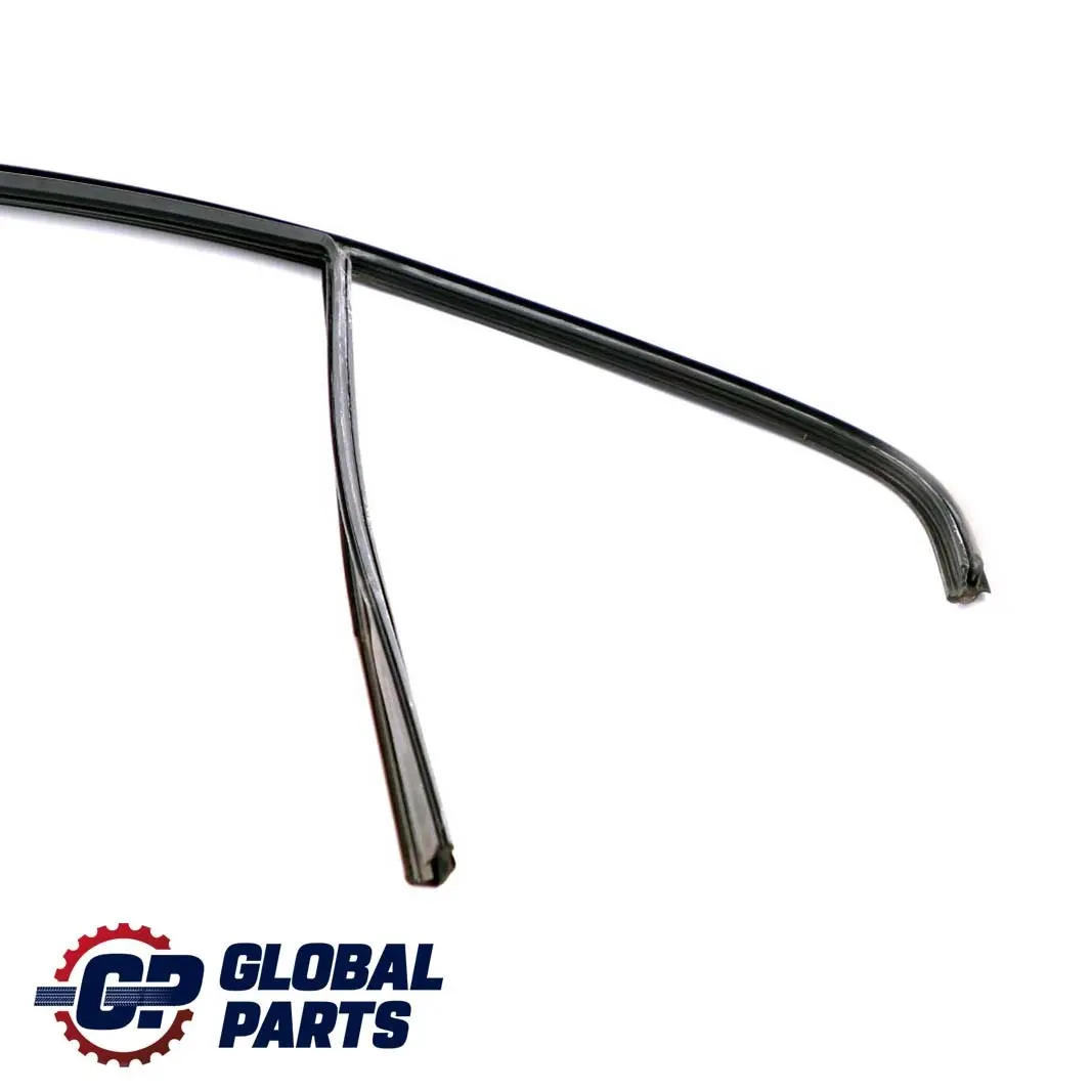 BMW 3 Series F30 LCI Door Window Guide Rear Right O/S Seal - SKU 7414534 - Part number 7414534
