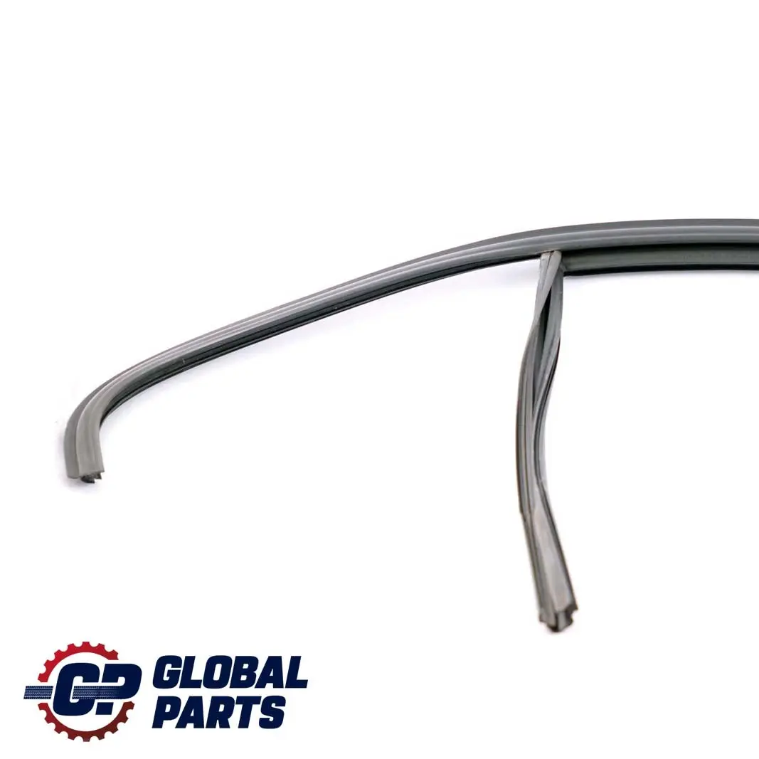 BMW 3 Series F30 LCI Door Window Guide Rear Right O/S Seal - SKU 7414534 - Part number 7414534