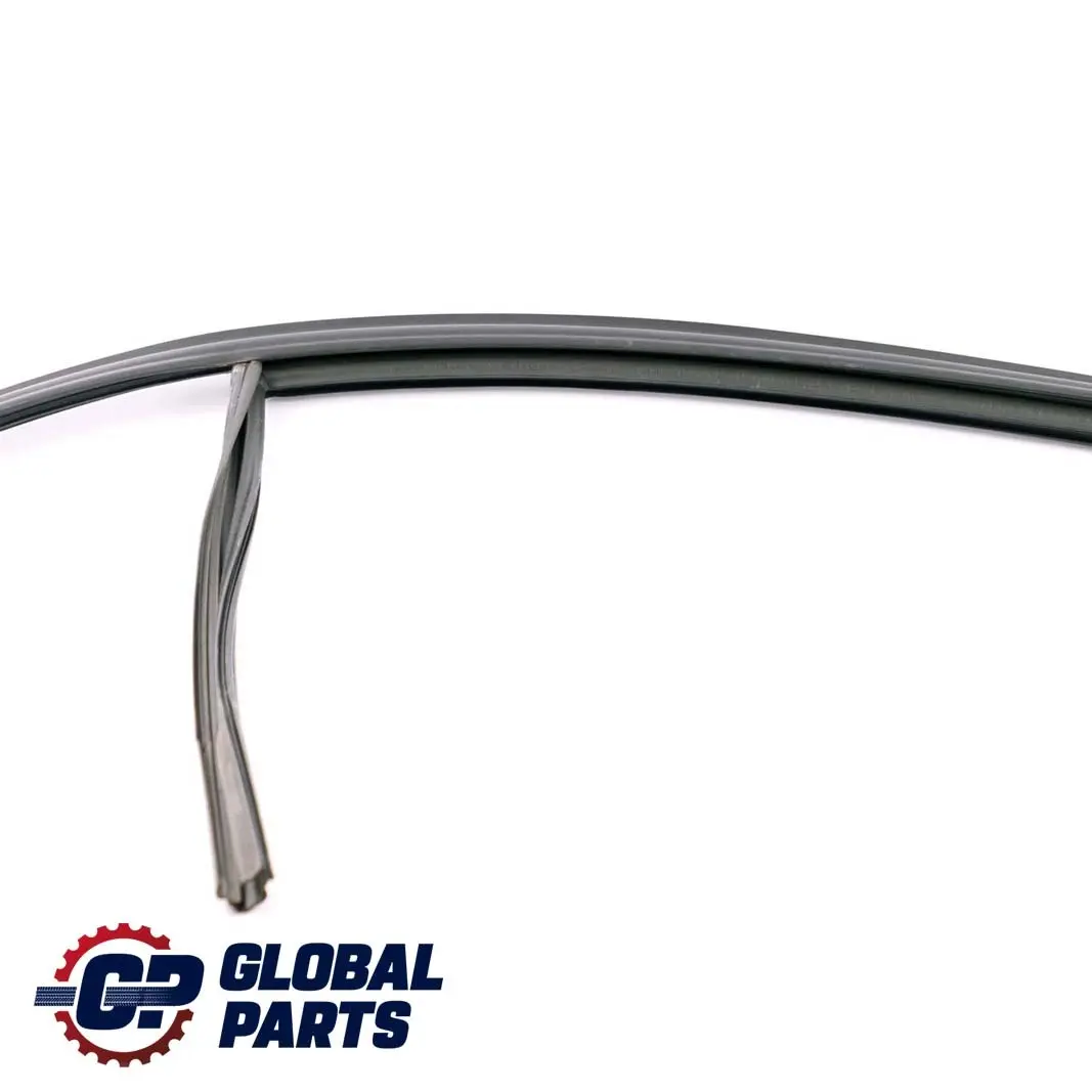 BMW 3 Series F30 LCI Door Window Guide Rear Right O/S Seal - SKU 7414534 - Part number 7414534