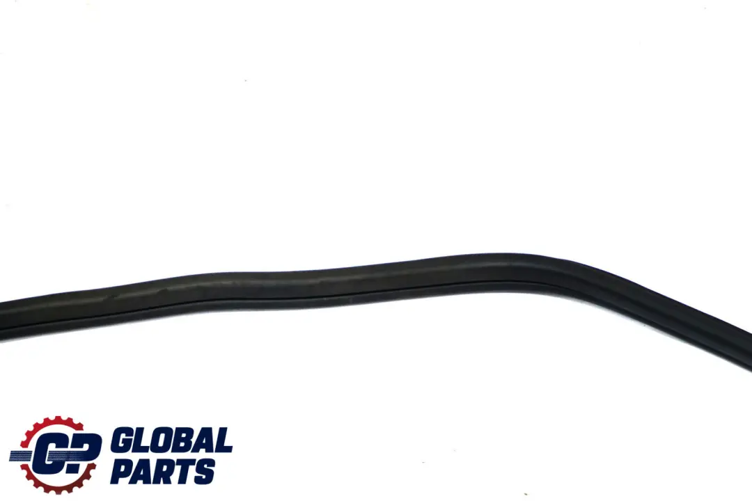 BMW X1 Series F48 Edge Protection Door Front Seal Gasket Left Right N/O/S - SKU 7440033 - Part number 7440033