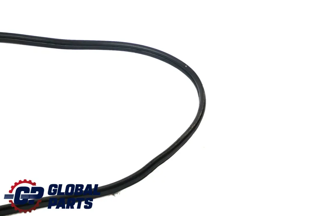 BMW F48 Protezione bordi porta guarnizione anteriore sinistra destra - SKU 7440033 - Numero di parte 7440033