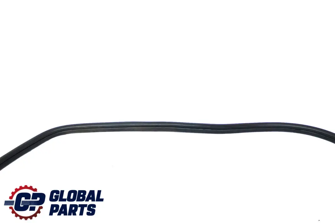 BMW F48 Protezione bordi porta guarnizione anteriore sinistra destra - SKU 7440033 - Numero di parte 7440033