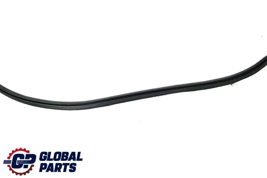 BMW F48 Protezione bordi porta guarnizione anteriore sinistra destra - SKU 7440033 - Numero di parte 7440033