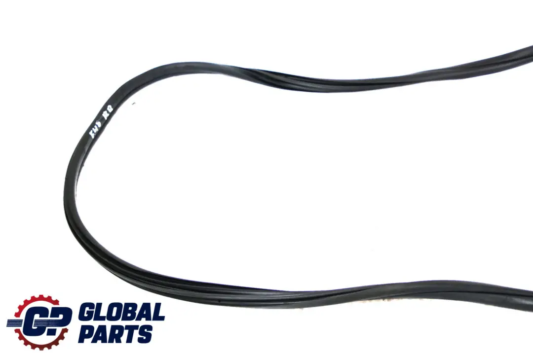 BMW F48 Kantenschutz Tür Hinten Dichtung Links Rechts - SKU 7440034 - Teilenummer 7440034