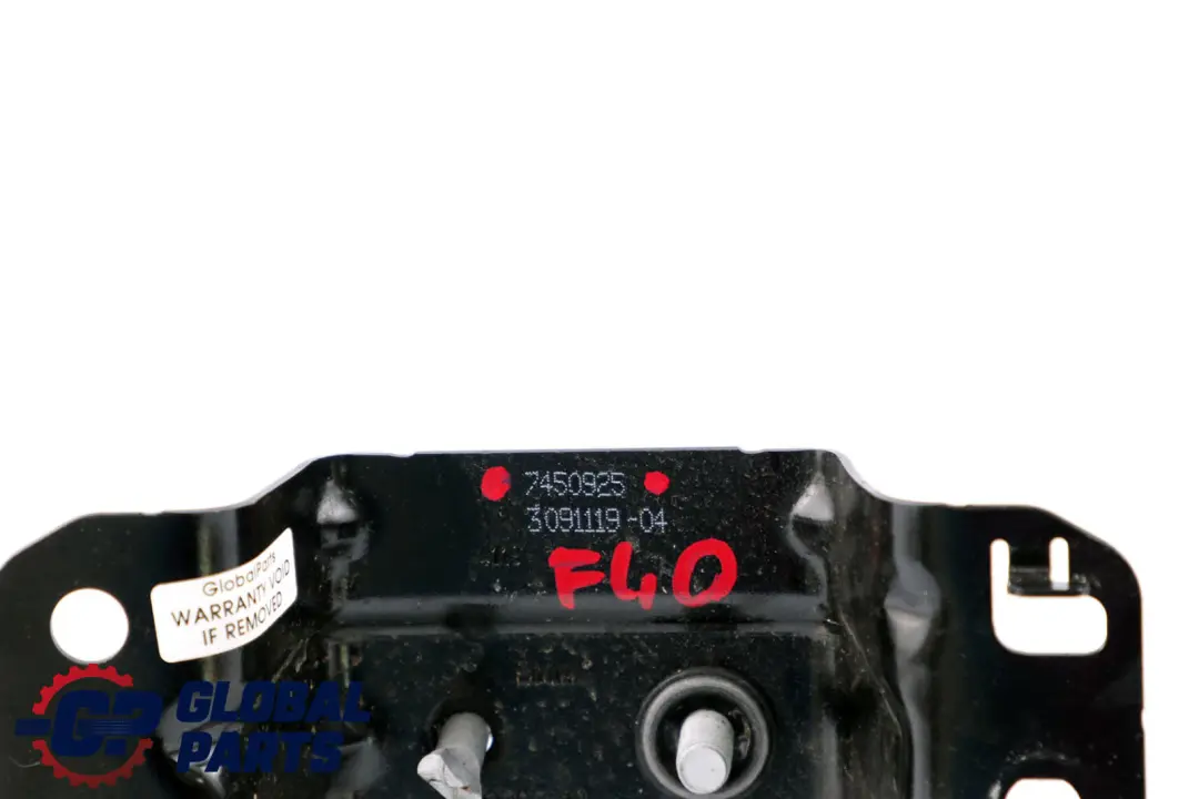 BMW F40 Striker Titular Capó 5123 - SKU 7450925 - Número de pieza 7450925