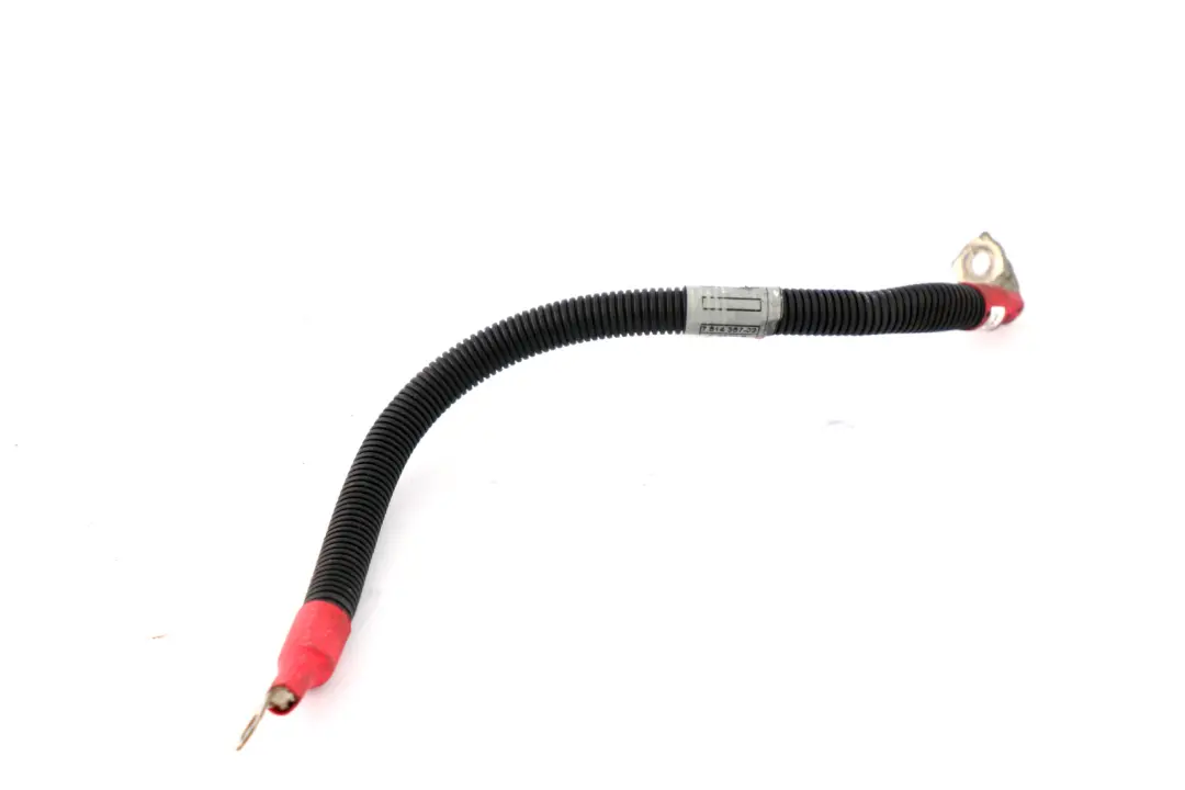 BMW Z4 Reihe E85 Roadster Cabrio Kabel Anlasser-Stützpunkt B+ - SKU 7514357 - Teilenummer 7514357