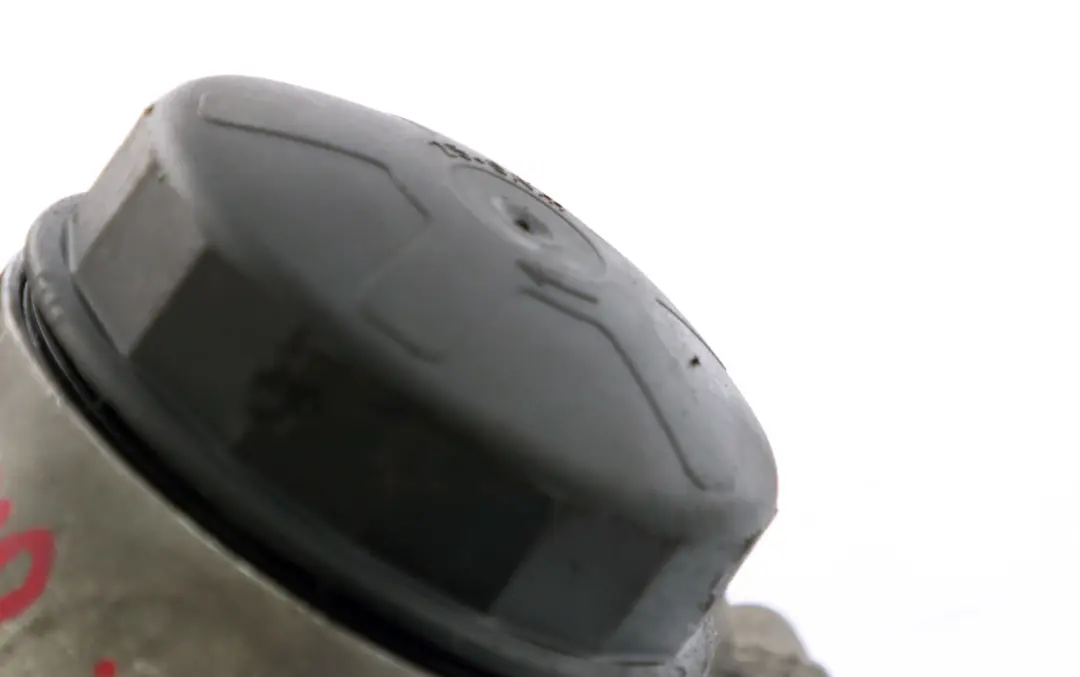 Filtr Oleju Benzyna do BMW X1 X3 X4 Z4 E84 E89 F10 F11 F25 F26 F30 o numerze 11427516383 BMW X1 X3 X4 Z4 E84 E89 F10 F11 F25 F26 F30 Filtr Oleju Benzyna - SKU 7516383 - Numer Części 11427516383