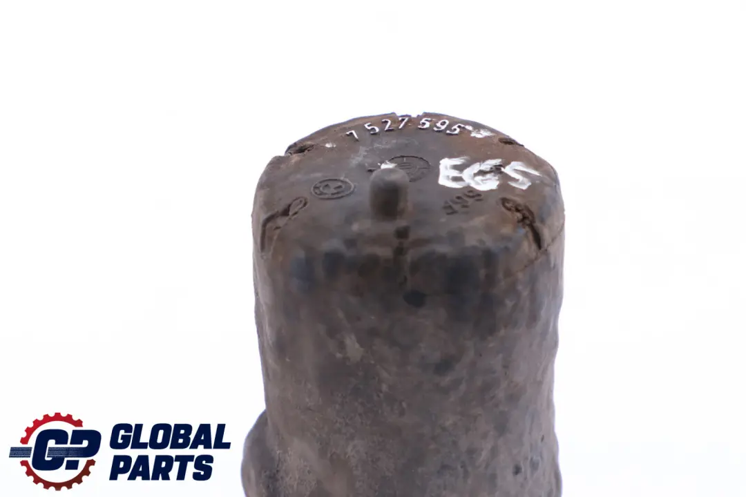 Vibration Absorber 30,5 HZ 1830 to BMW 7 Series E65 E66 with Part number 7527595 BMW 7 Series E65 E66 Vibration Absorber 30,5 HZ 1830 - SKU 7527595 - Part number 7527595